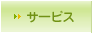 �T�[�r�X